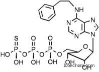 N6- (2- Phenylethyl)adenosine- 5'- O- (3- thiotriphosphate) ( 6-PhEt-ATP-γ-S )